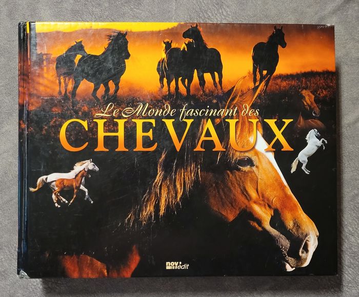 Le Monde fascinant des chevaux Magali Guenette