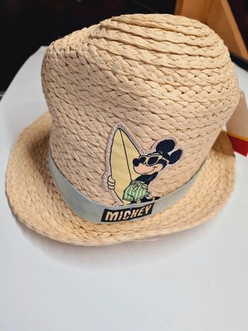 Chapeau de paille disney