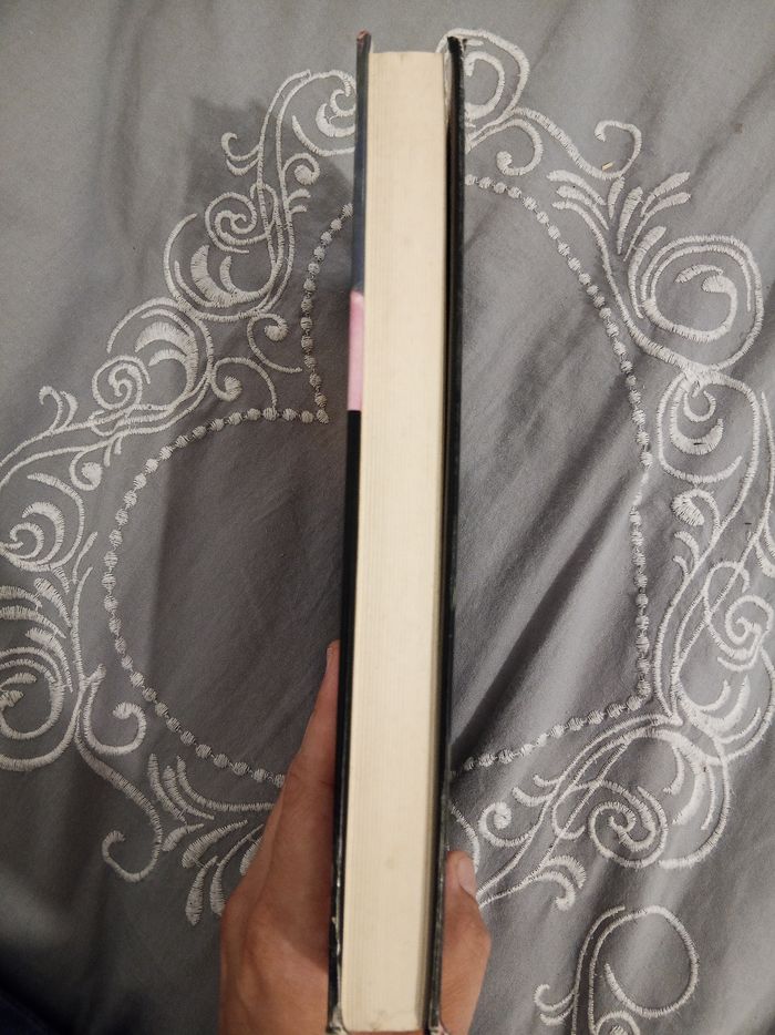 Livre (18) 📚 L'enfant qui ne parlait pas - photo numéro 4