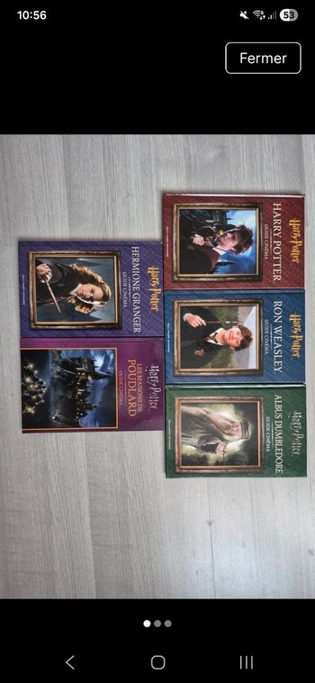 Lot 5 guides cinéma Harry Potter 