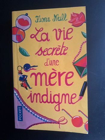 Livre la vie secrète d une mère indigne