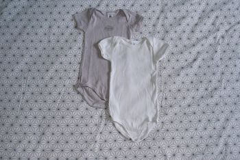 Lot de 2 bodies manches courtes