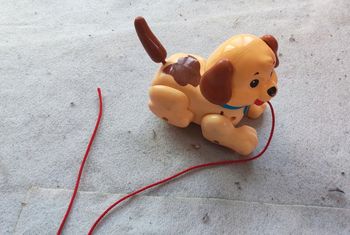 Chien a tirer