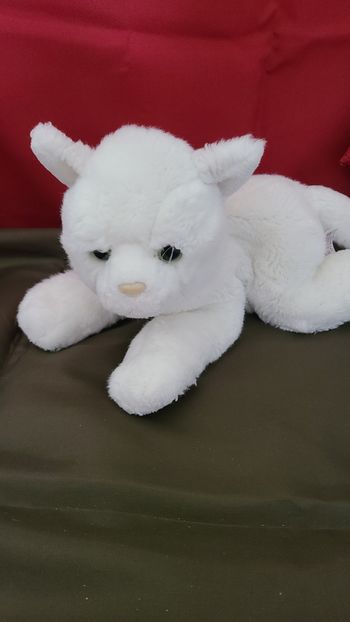 Peluche Doudou Gipsy Chat Blanc Couche Bille Dans Le Corps 35Cm