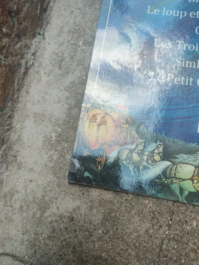 Livre le petit chaperon rouge et la belle au bois dormant - photo numéro 12