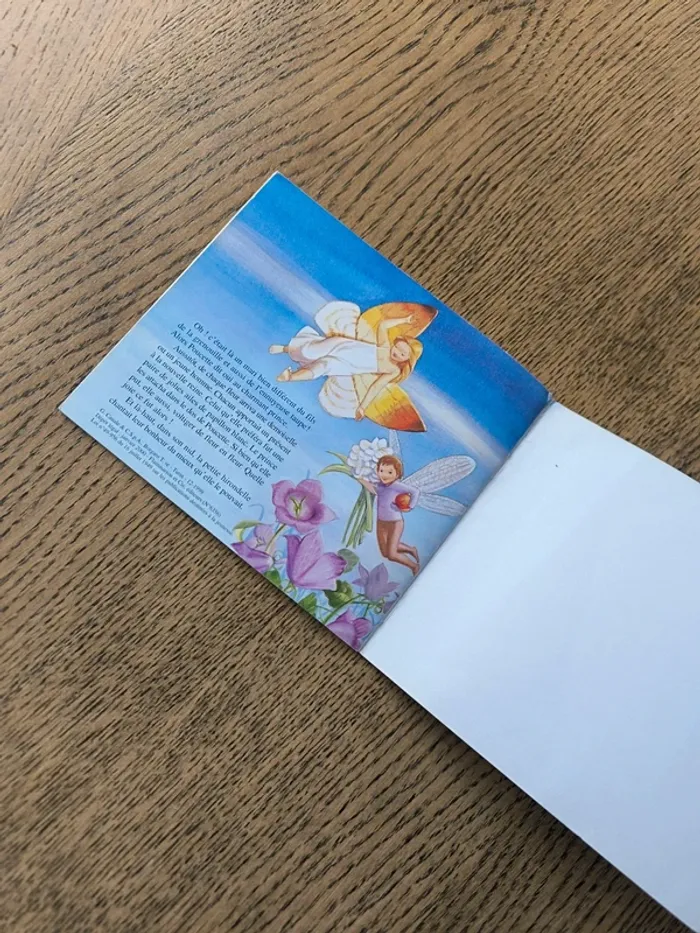 Livre "poucette" édition Flammarion - photo numéro 5