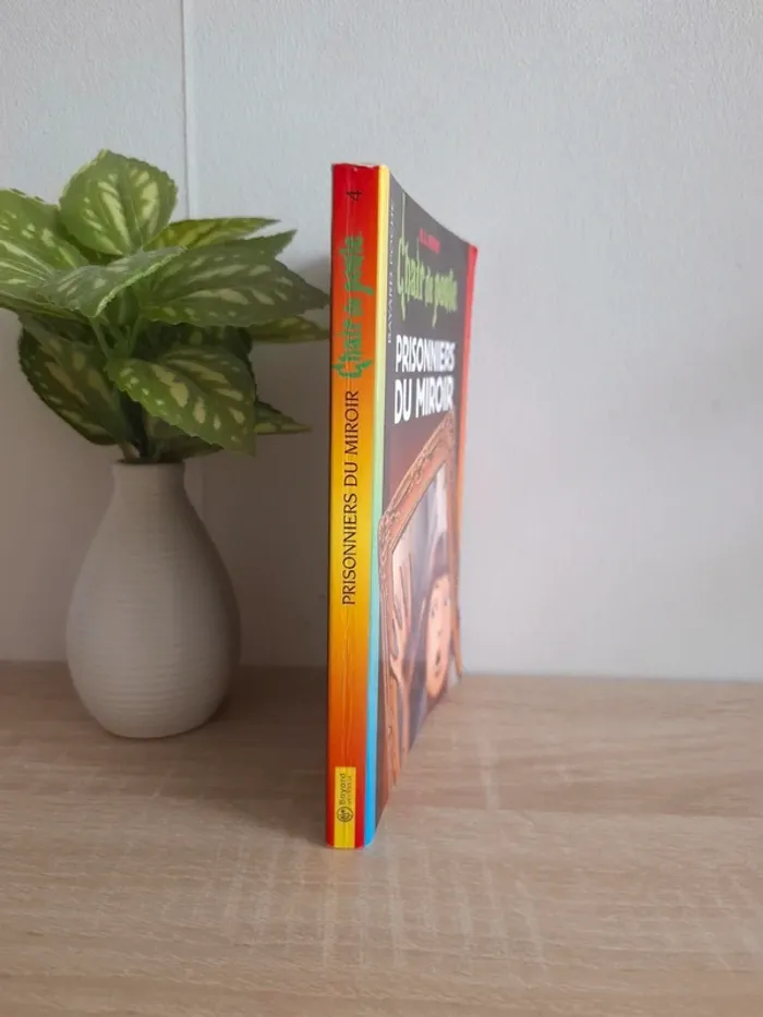 Livre / Chair de poule : Prisonnier du miroir - photo numéro 3