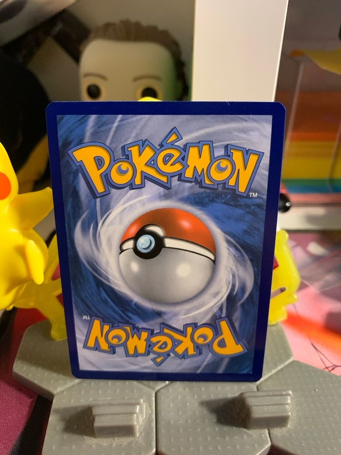 Pyroli reverse VIV 026 - photo numéro 2