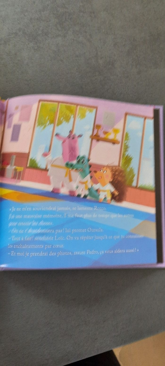 Le tournoi de karaté - photo numéro 3