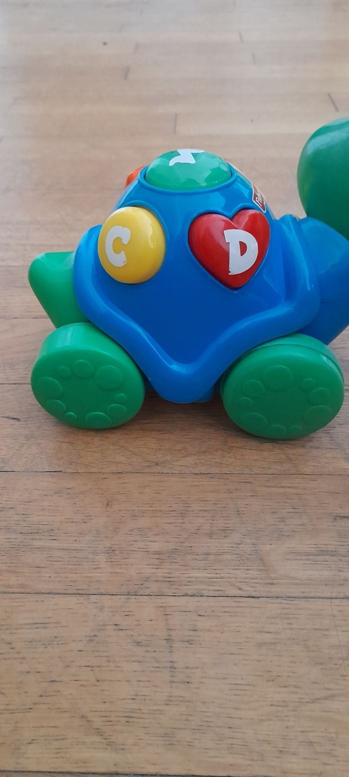 Tortue interactif - photo numéro 5