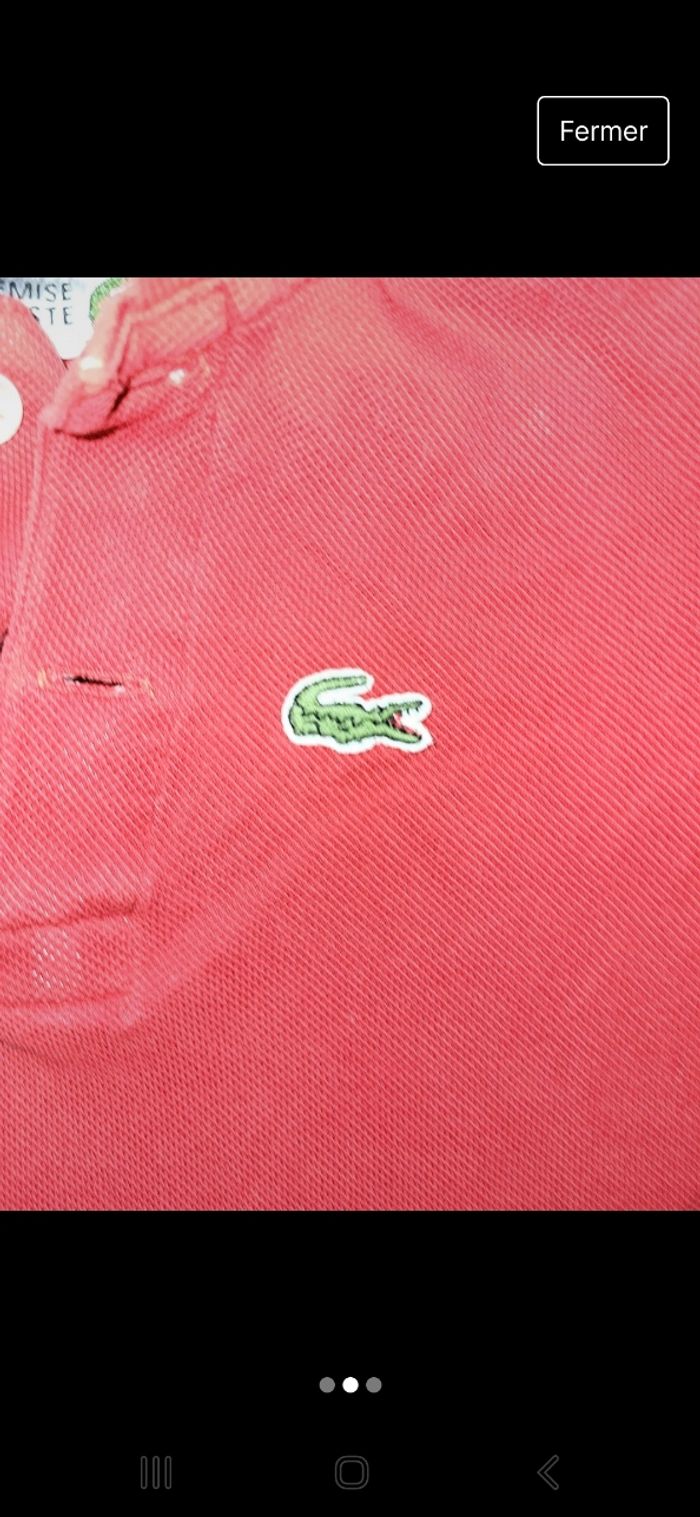 Polo lacoste - photo numéro 2