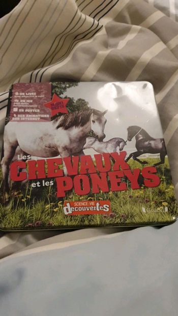 Les chevaux et les Poneys
