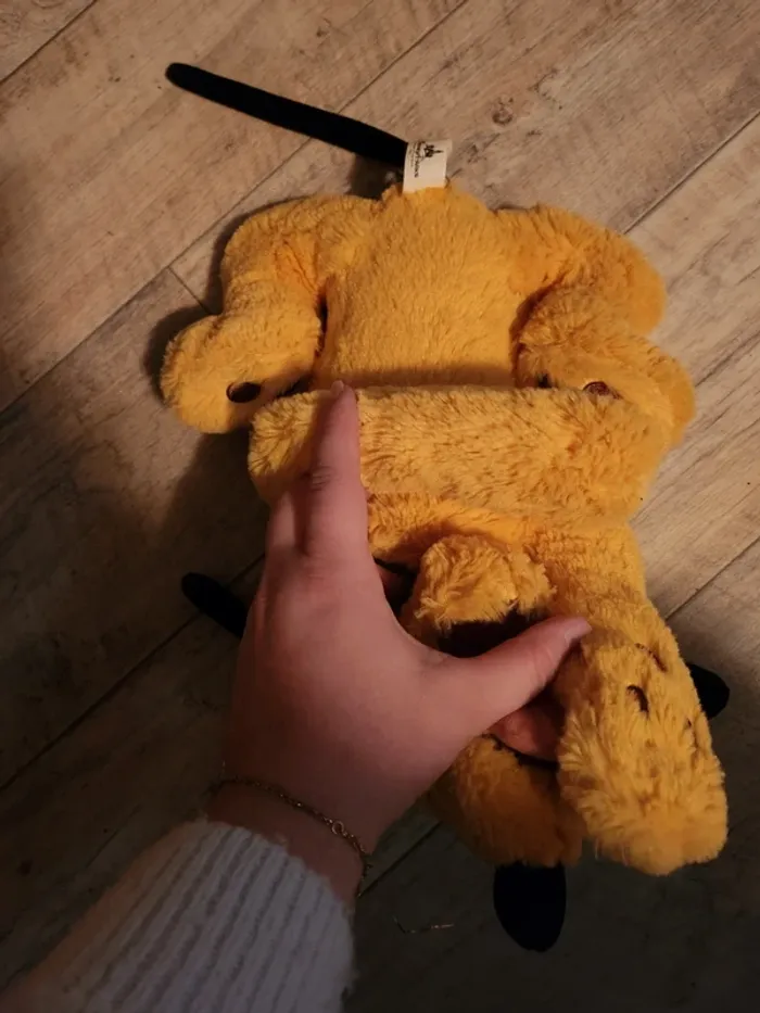 Plutôt disneyland - photo numéro 2