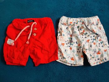 Lot 2 shorts