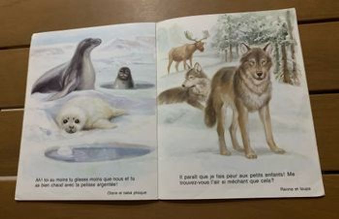 Amis d’ici et d’ailleurs - photo numéro 7