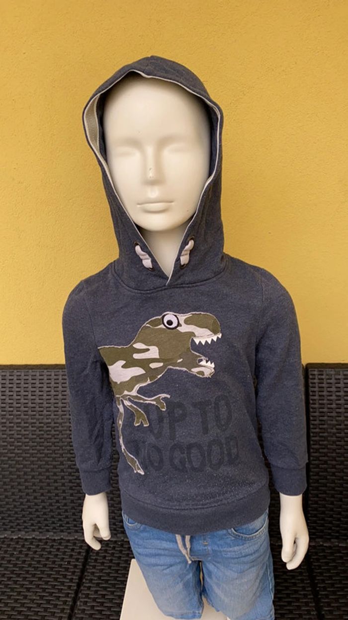 Sweat-shirt dinosaures