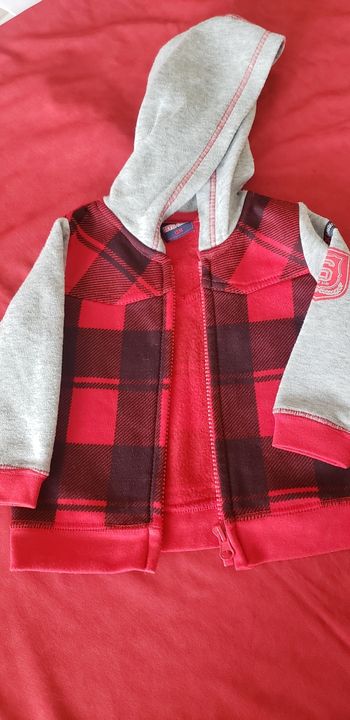 Veste à capuche T12 mois