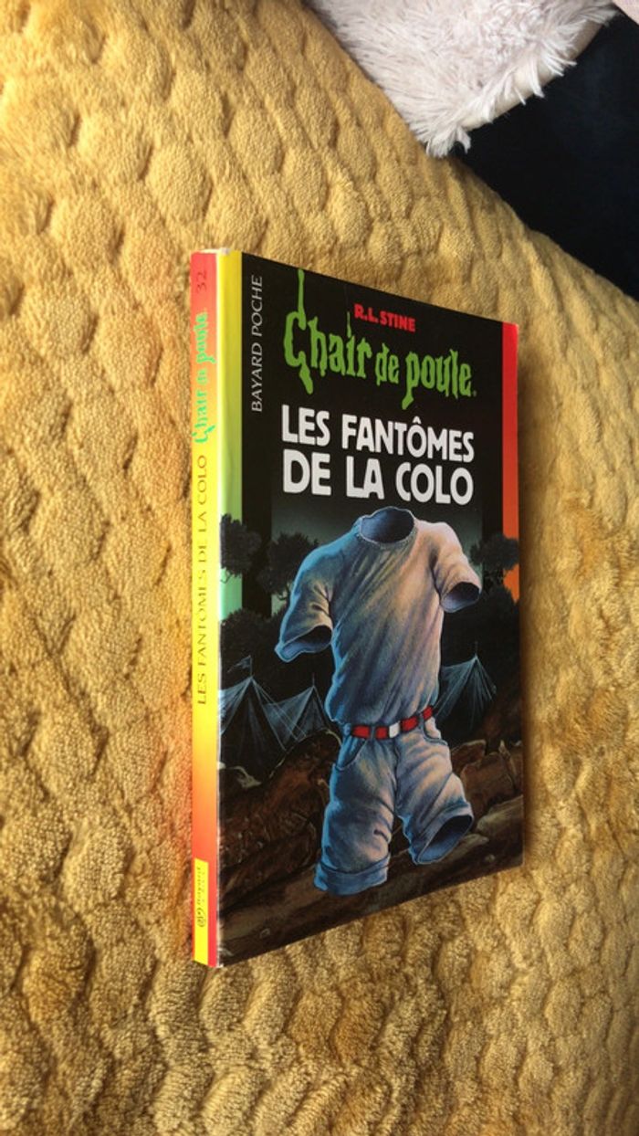 Livre collection chair de poule - photo numéro 2