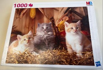 Puzzle chatons dans la paille 1000 
