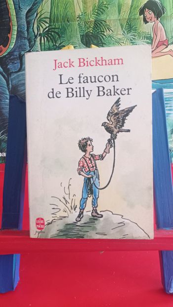 Le faucon de Billy Baker