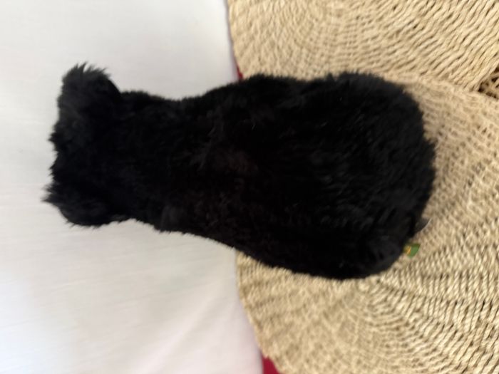 Wild Republic Peluche - Ours Noir - photo numéro 6
