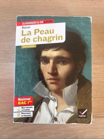 La peau de chagrin
