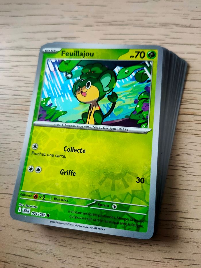 Reverses Foudre Noire (BLK)