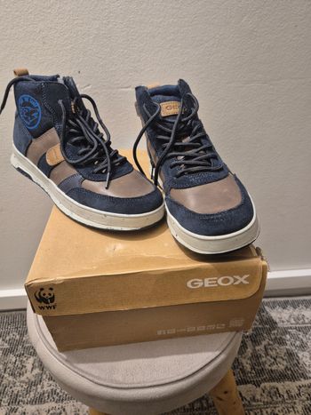 Chaussure garçon geox  neuf