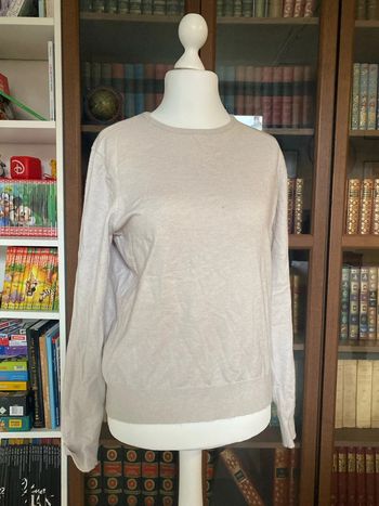 Pull manche longue beige T42