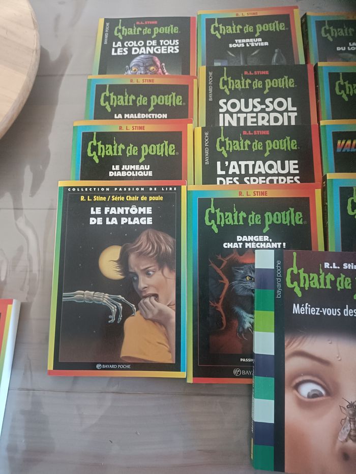 Livre chair de poule - photo numéro 3