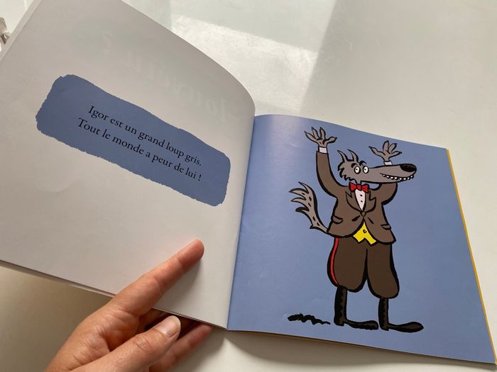Livre Louyétu ? - photo numéro 3