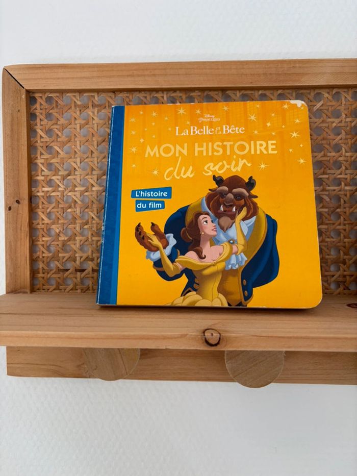 Histoire du soir la belle et la belle