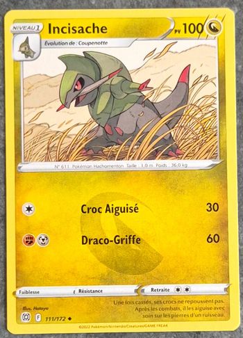 Incisache Stars Étincelantes