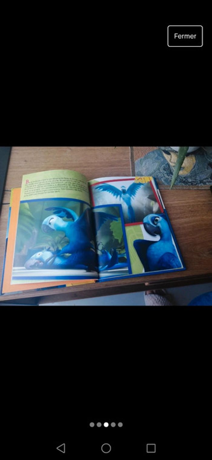 Livre Rio - photo numéro 3