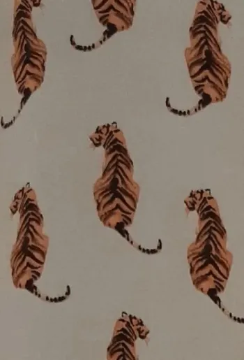 Chemise Mango 🐯