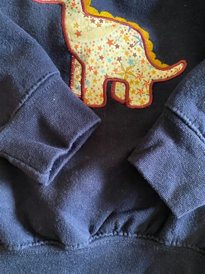 Sweat dinosaure liberty créatrice 4 ans - photo numéro 4
