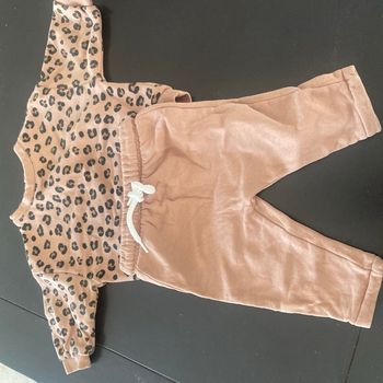 Ensemble leopard