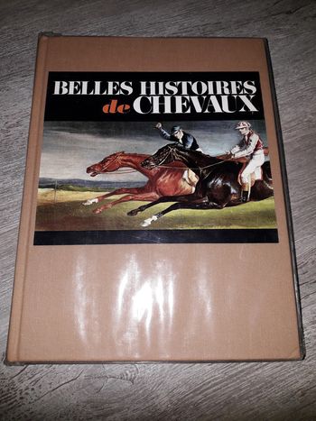 livre belles histoires de chevaux