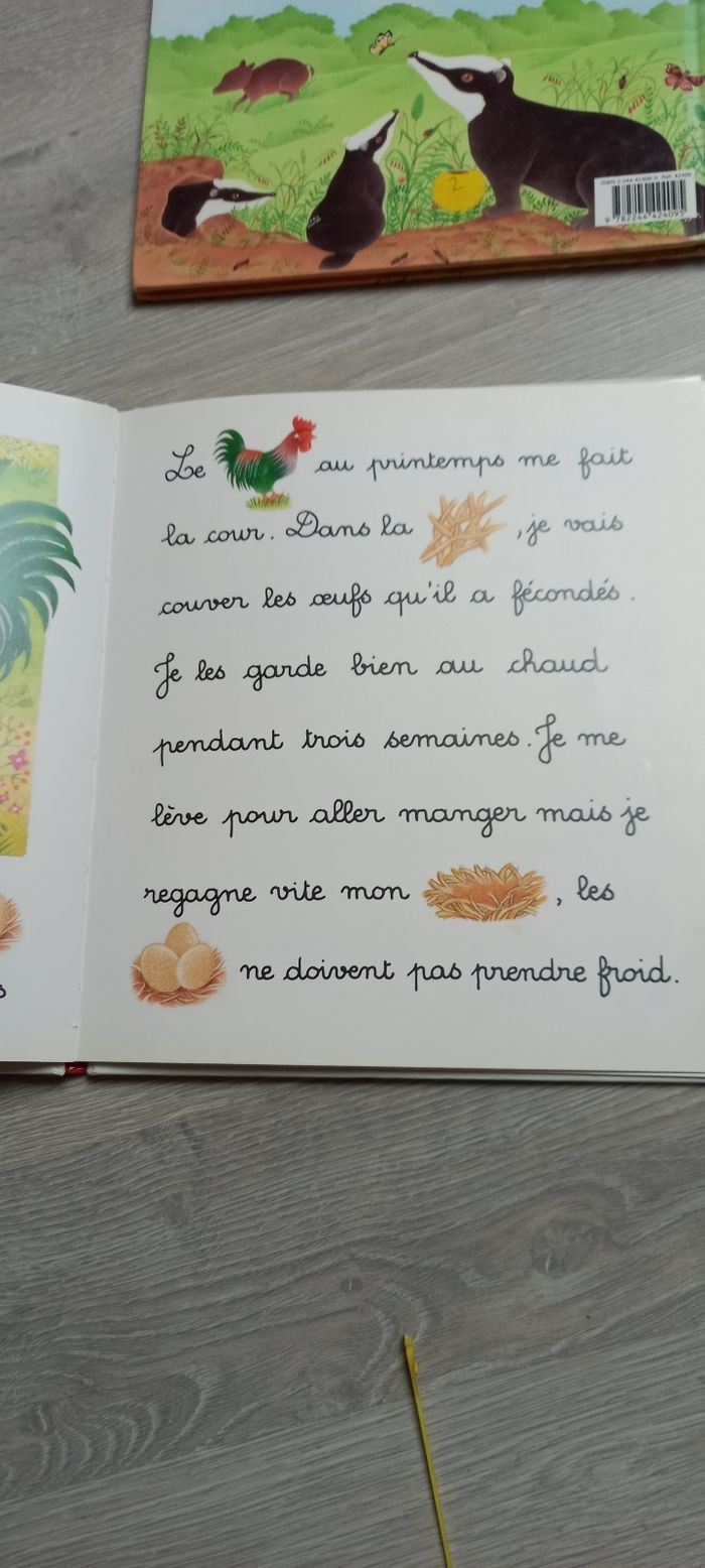 2 livres "je lis" apprentissage lecture avec image - photo numéro 5