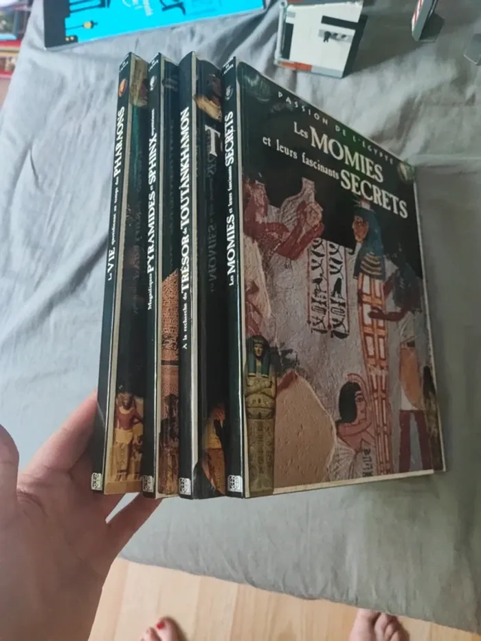 Lot livres passion de l'Égypte