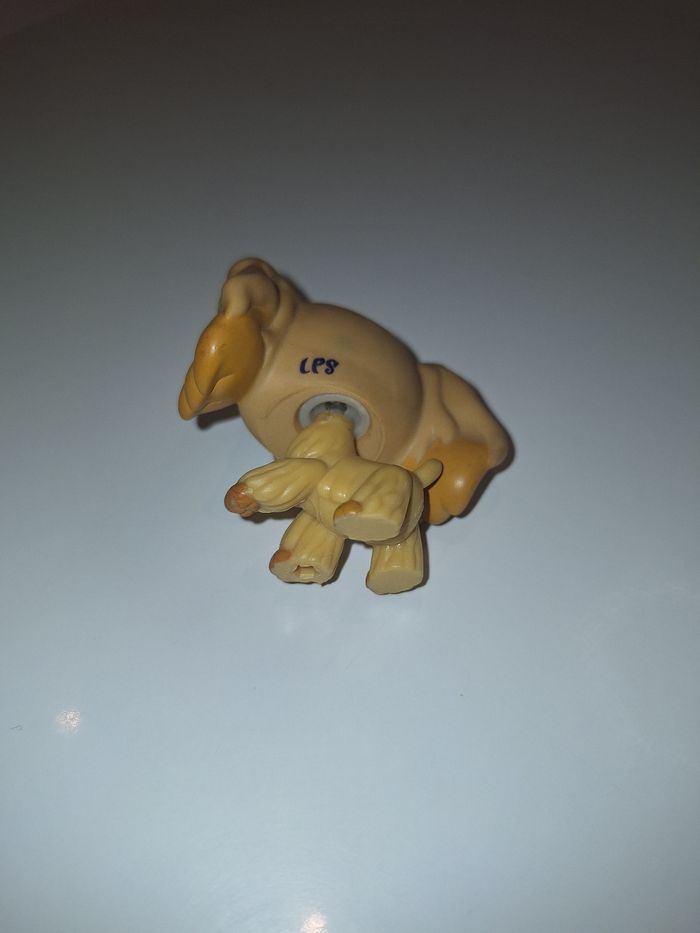 Petshop rare chien - photo numéro 3