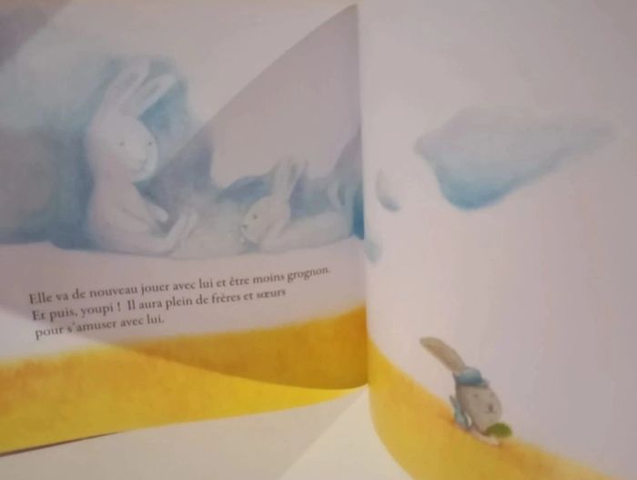 Croquette devient grand frère - photo numéro 4