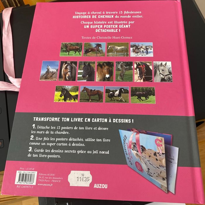 Mes histoires de chevaux du monde - photo numéro 2