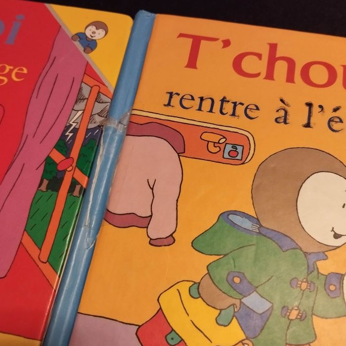 Lot de 4 Livres enfant Nathan T'choupi - photo numéro 2