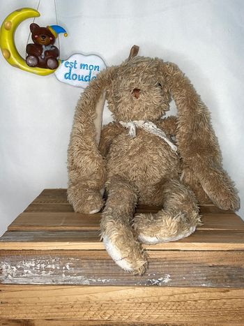 BK110 doudou lapin 🐰 Bukowski
