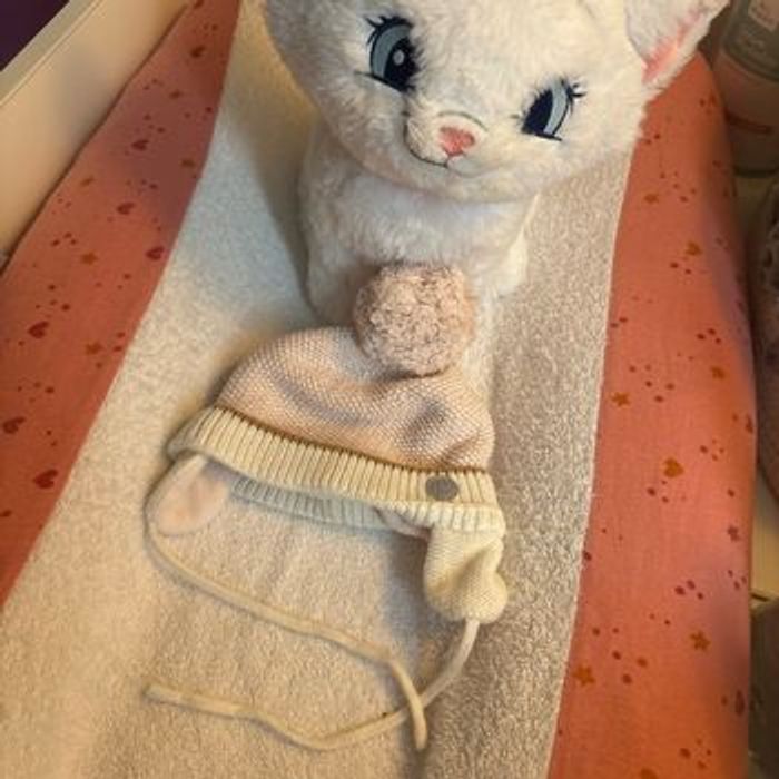 Bonnet
