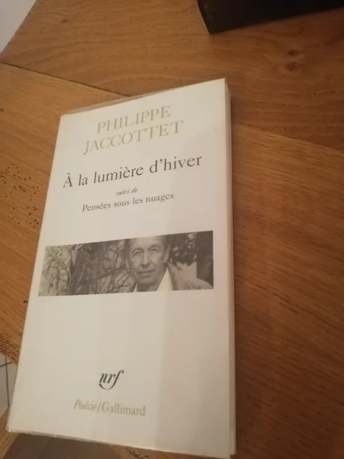 A la lumière d'hiver Philippe jaccottet