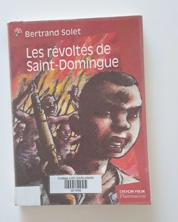 Les révoltés de Saint-Domingue