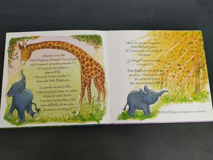 Livre - photo numéro 3