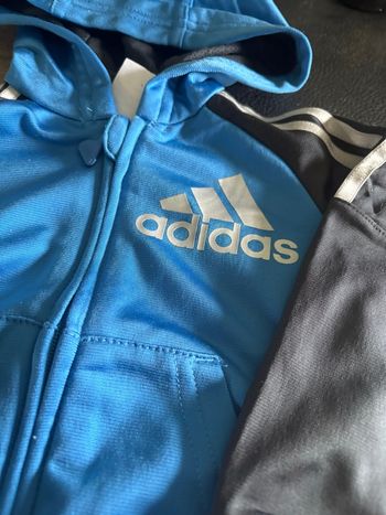 Veste adidas 6/9 mois